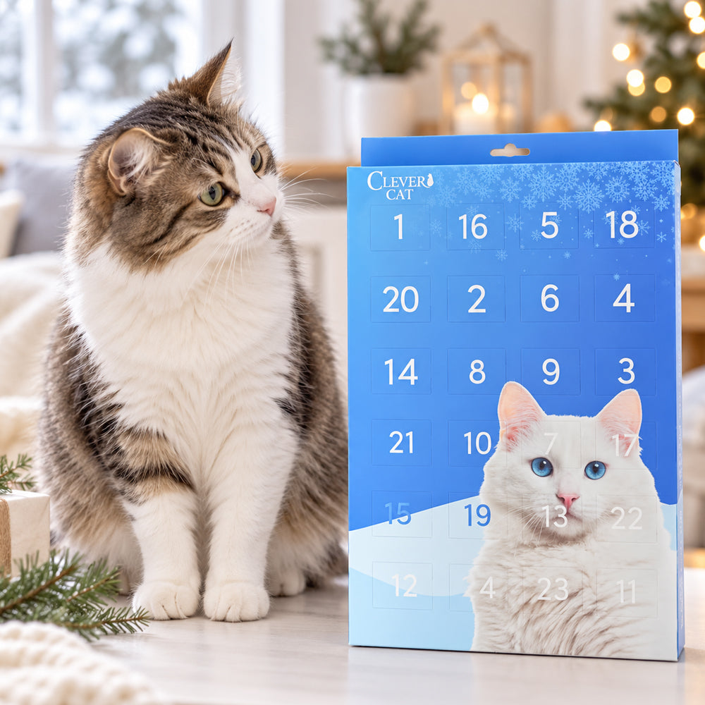 Julekalender med godbiter til katter – 24 luker med små overraskelser