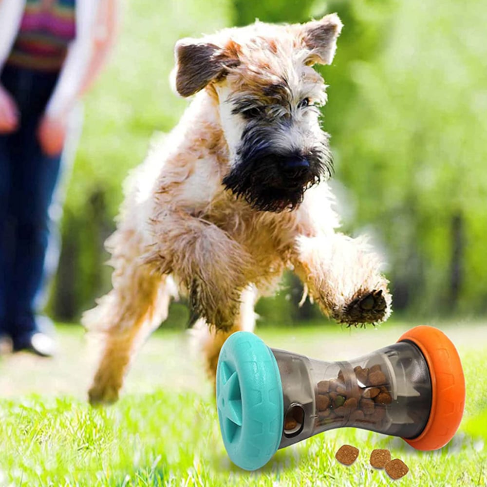 Hunde-Snack, aktivitetsleketøy til godbiter