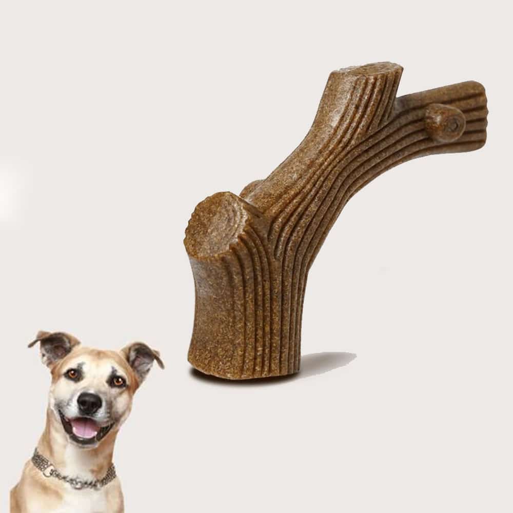 Hundetyggebens med biffsmak – robust og tannrensende