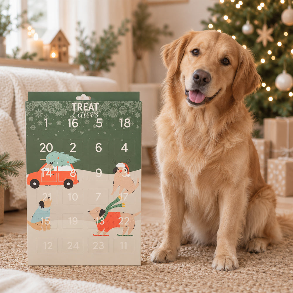 Julekalender til hunder – 24 luker med Mini Treats
