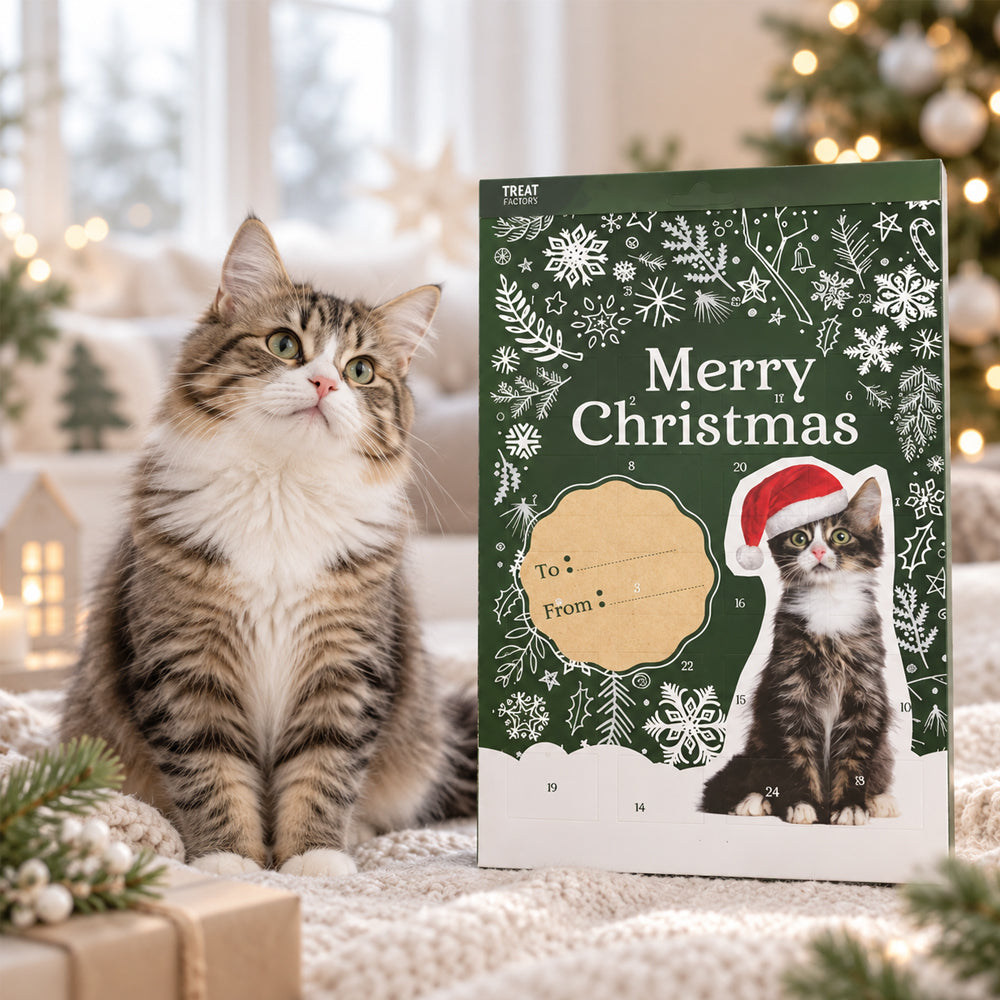 Julekalender til katter – 24 luker med deilige godbiter