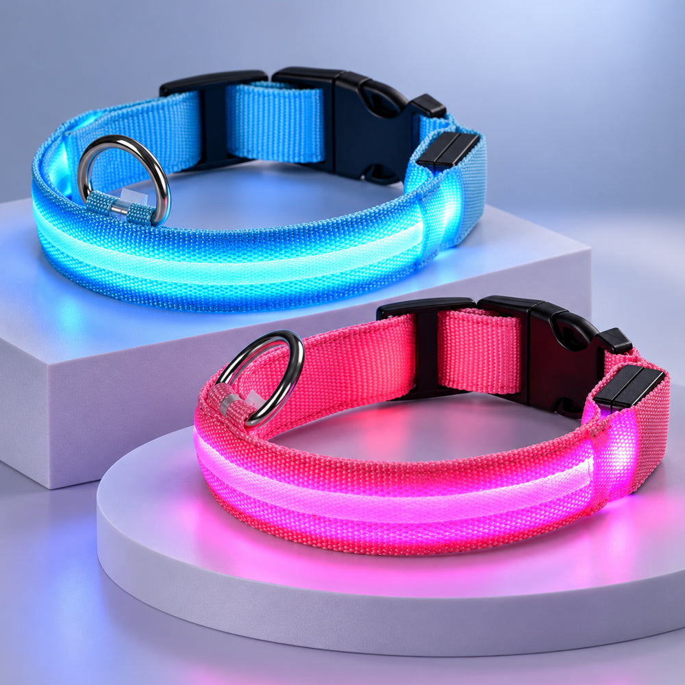 Hundehalsbånd med LED-lys – ekstra synlighet på turen