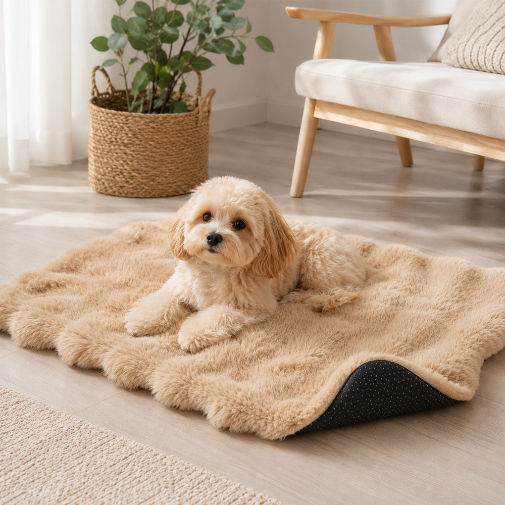 Mykt hundeteppe med sklisikker underside – komfortabel hvileplass for hund og katt