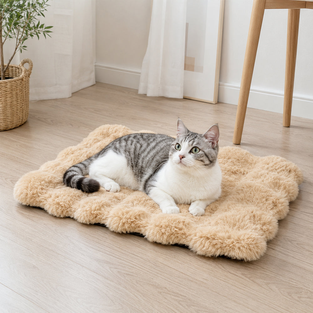 Mykt hundeteppe med sklisikker underside – komfortabel hvileplass for hund og katt