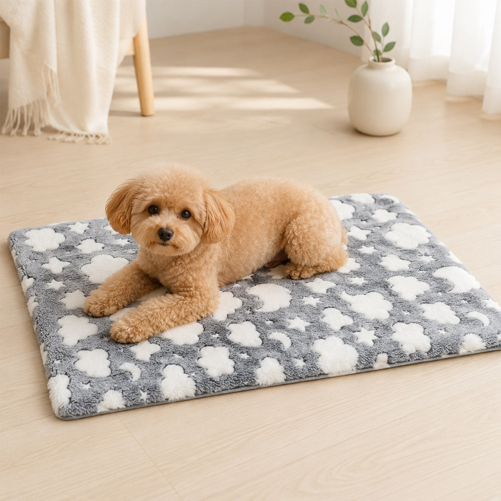Mykt hundeteppe med print – koselig hvileplass for hund og katt