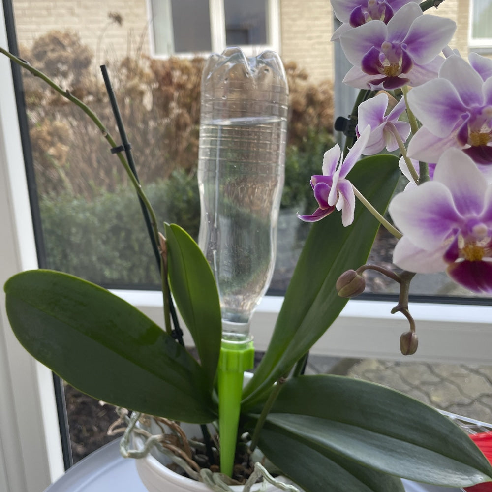 Selvvannende PET-flaske for potteplanter/senger – pakke m/6 stk.