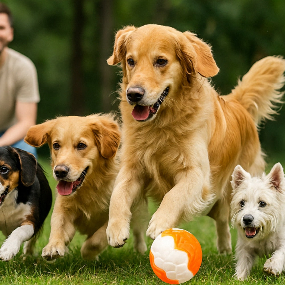 Elastisk Hundeball, oransje eller blå – Gøyal og tyggevennlig ball for aktive hunder