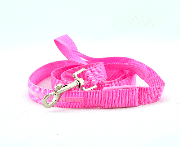 Hundesnor med led-lys