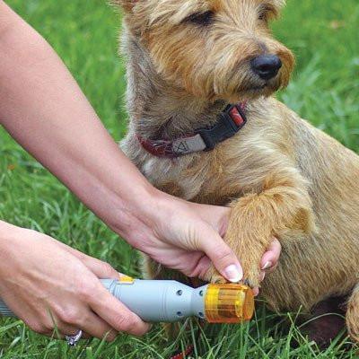 Elektrisk negleklipper til hunde og katte (og andre dyr)