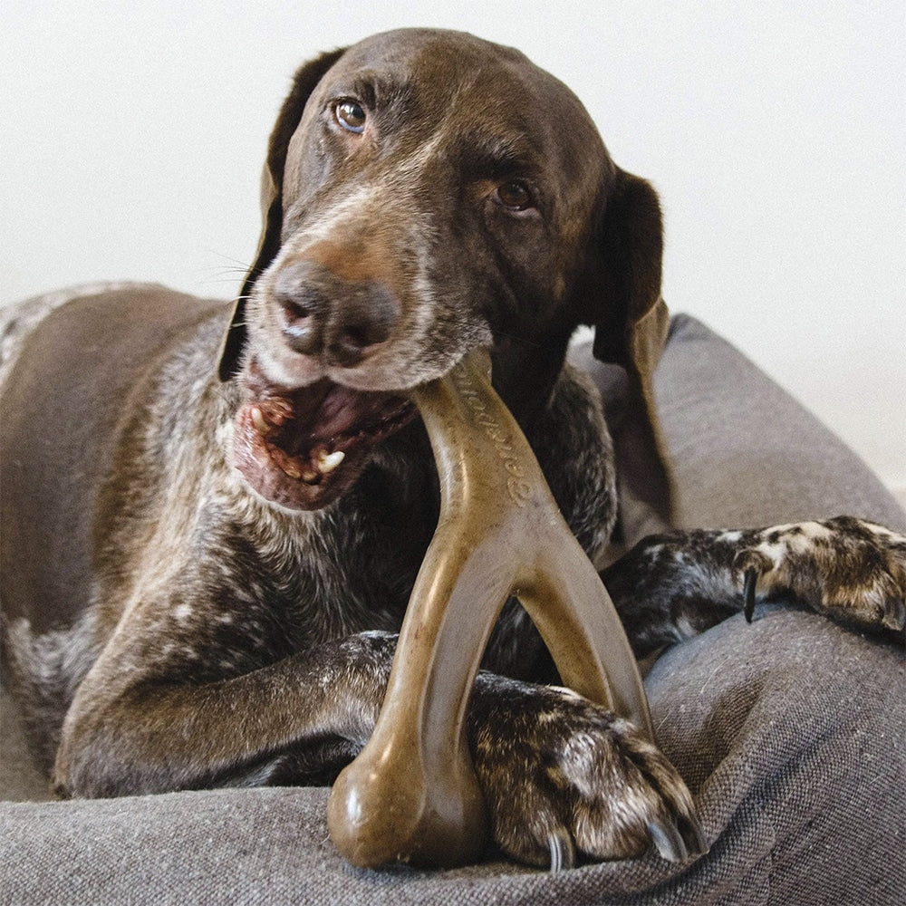 Hundetygge bein med bacon- og kyllingsmak