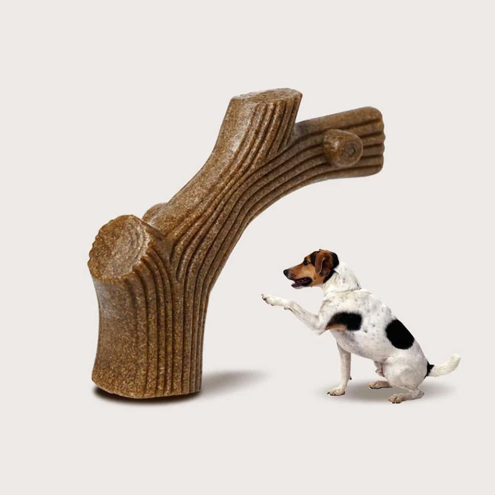 Hundetyggebens med biffsmak – robust og tannrensende