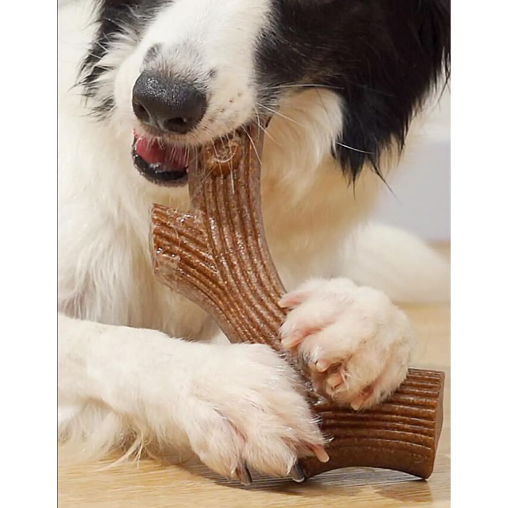 Hundetyggebens med biffsmak – robust og tannrensende