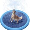 Hundebasseng med vannfontene