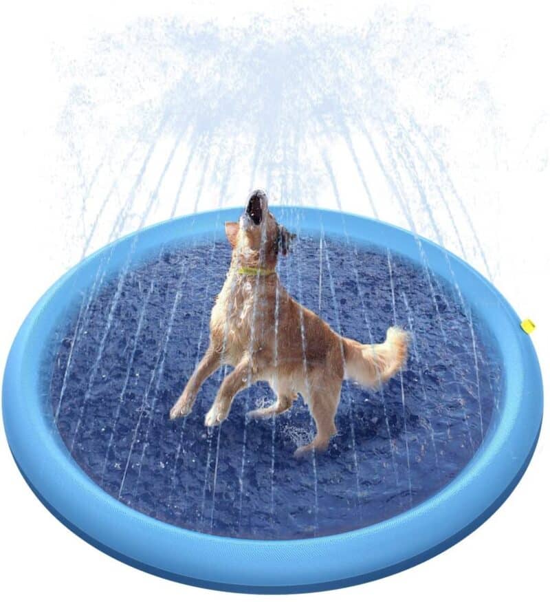 Hundebasseng med vannfontene