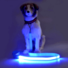 Hundesnor med led-lys