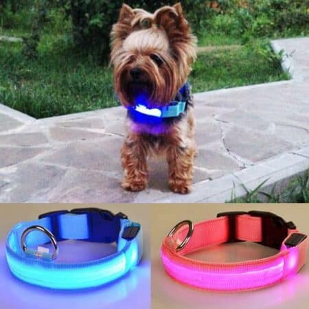 Hundehalsbånd med LED-lys
