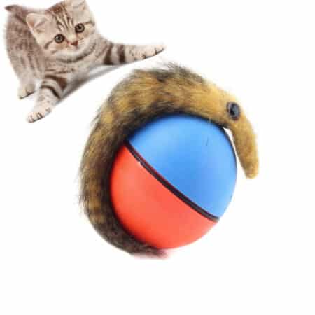 Beverball – elektrisk leketøy til kjæledyr