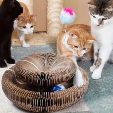 Kvessebrett til katt og leketøy med ball